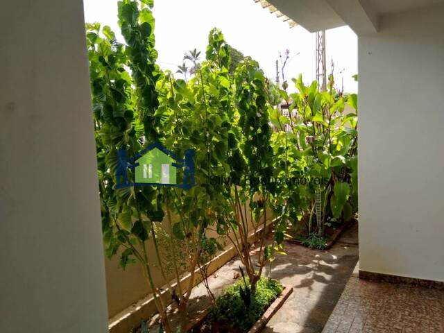 #83 - Casa para Locação em Itápolis - SP - 2