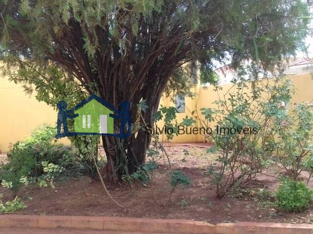 #249 - Casa para Locação em Itápolis - SP - 3