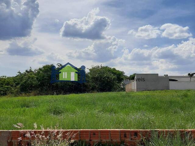 #486 - Área para Venda em Itápolis - SP - 3