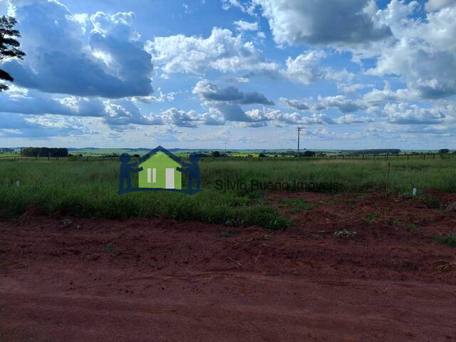 #1303 - Área para Venda em Itápolis - SP - 1